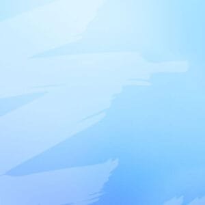 ✨ Intermediate Wordpress 101: Master Web Development from Scratch! ✨