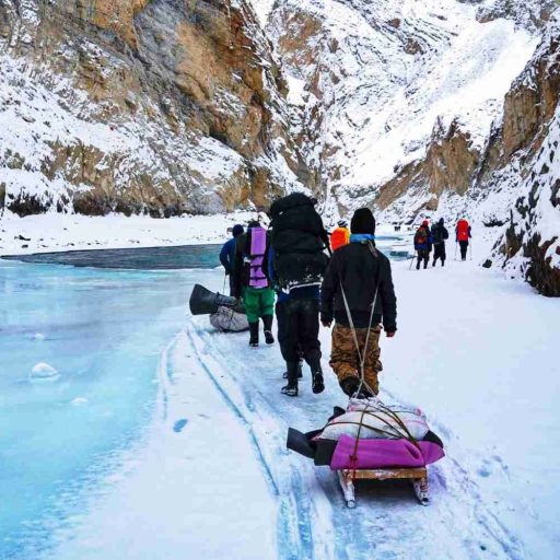 E98E3202-E2AB-498A-A6E4-1EDC3BC8626D